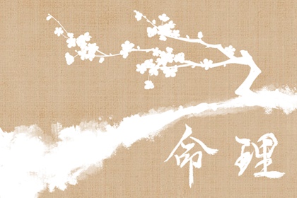 择日择吉宜忌大全|择吉皇历一万年历|黄历老黄历查询择吉黄历